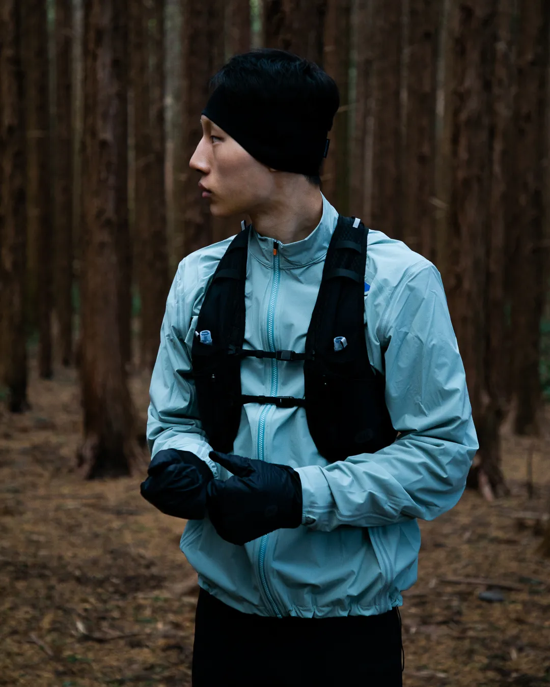 Winter Runs Over Days Image 9