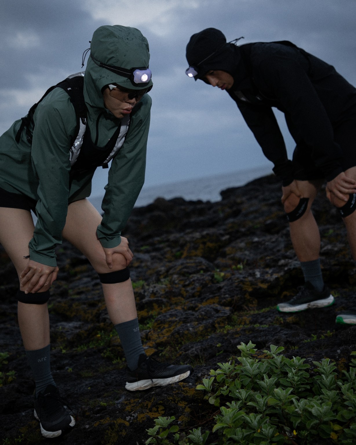 24 Beacon Light Potential 16