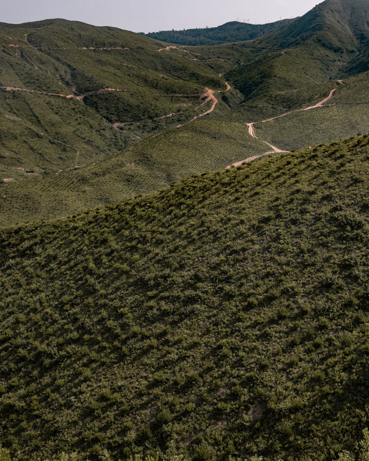 DISTANCE Gallery Image 11